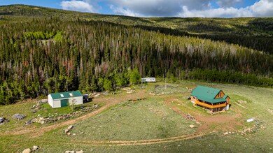 209 Forb Ln, Red Feather Lakes, CO 80545 - photo 2