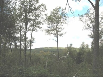 Panoramic views