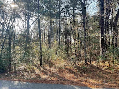 TBD Honeysuckle Rd, East End, AR 72206 - photo 2