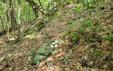 Additional View