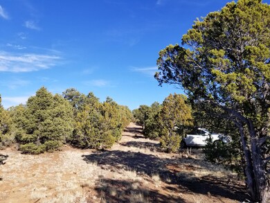 0 Cedar Creek Dr unit Lot 24L 218360, Aripine, AZ 85933 - photo 3