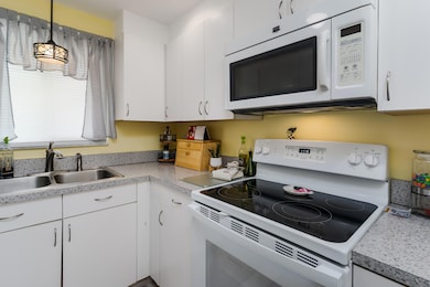 1010 Manatee Rd unit 304, Naples, FL 34114 - photo 6