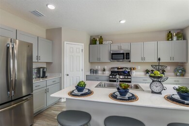 34462 Moonflower Ave, Wesley Chapel, FL 33545 - photo 5