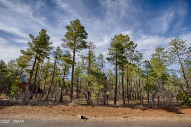 Tall Ponderosa Pines