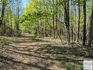 0 Bent School Rd, Meadows of Dan, VA 24120 - photo 6