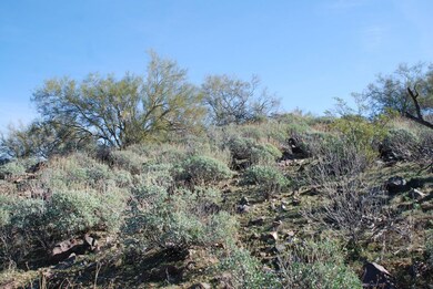 Middle of Lot 1
