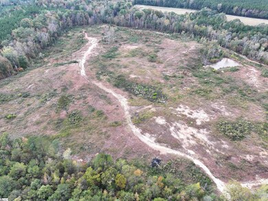 192 Putman Rd, Buffalo, SC 29321 - photo 3