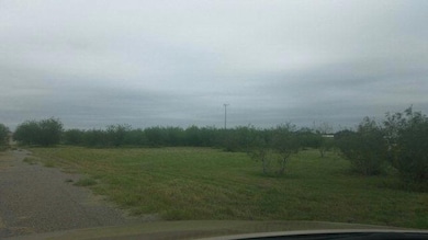 2100 Blk W Canton Rd, Edinburg, TX 78539 - photo 2