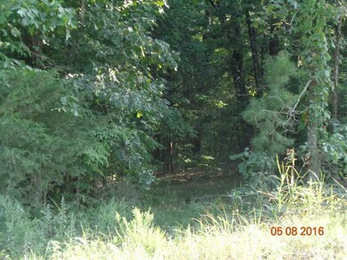 Greene 643 Rd, Paragould, AR 72450 - photo 7