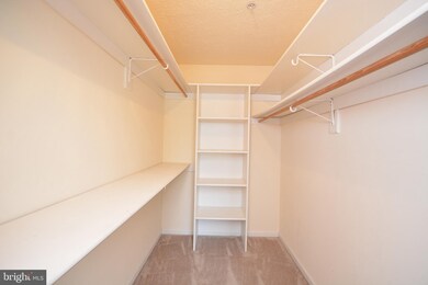 105 D9 Hailey Ln, Strasburg, VA 22657 - photo 7