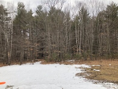 172 Walsh Rd, Sanbornville, NH 03872 - photo 6
