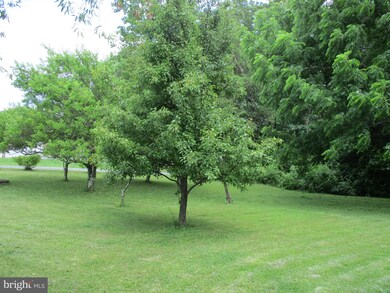 153 Freshwater Dr, Bunker Hill, WV 25413 - photo 4