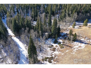 0 Arapahoe Dr, Bellvue, CO 80512 - photo 6