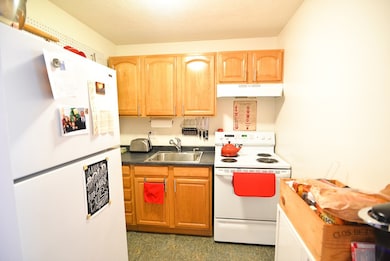 20 Radcliffe Rd unit 402, Allston, MA 02134 - photo 3