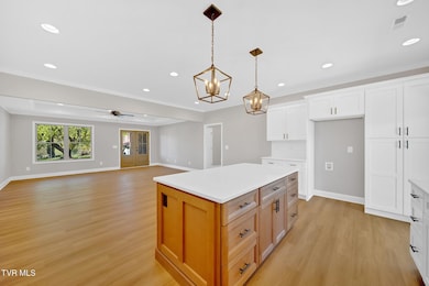 610 Cherry Marie Dr, Jonesborough, TN 37659 - photo 6