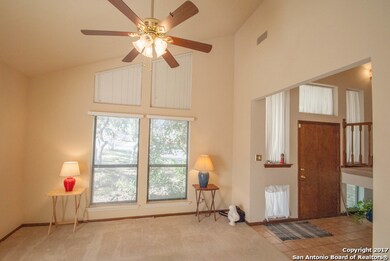 24802 Broad Oak Trail, San Antonio, TX 78255 - photo 6