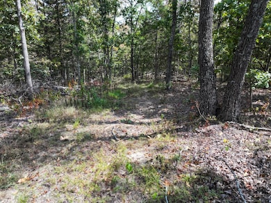 Off Hwy Dd unit Lot WP001, Farmington, MO 63640 - photo 7