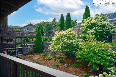 The legendary hydrangeas of Blowing Rock