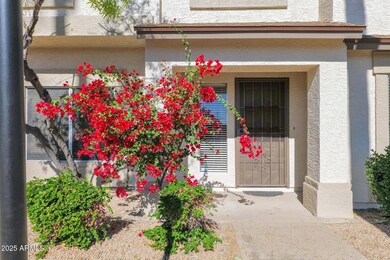 5-web-or-mls-P1054847