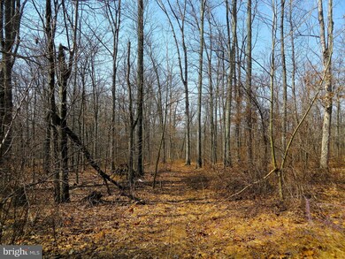 0 John Brown Farm Rd unit 1000219429, Harpers Ferry, WV 25425 - photo 5