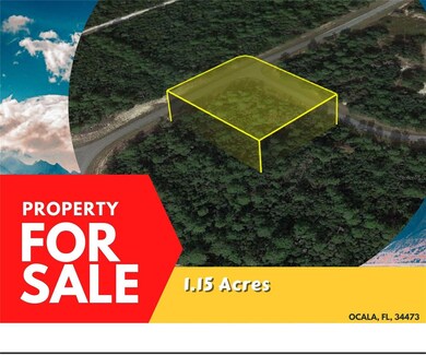 0 163rd Place, Ocala, FL 34473 - photo 4