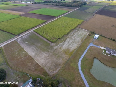 204 Black Rd, Saint Martinvlle, LA 70582 - photo 5