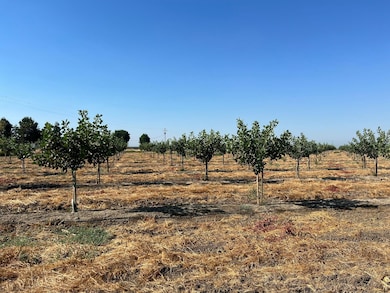 4320 E Sandy Mush Rd, Merced, CA 95341 - photo 2