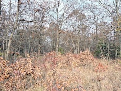 County Road 9100, West Plains, MO 65775 - photo 6