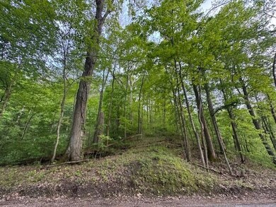 1445 E Branch Rd unit R, Union Township, OH 43758 - photo 2