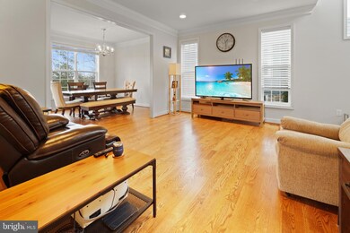 300 Chestnut Rd, Linthicum Heights, MD 21090 - photo 6