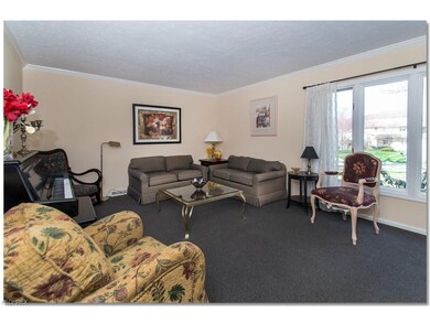 Large Formal Living Room