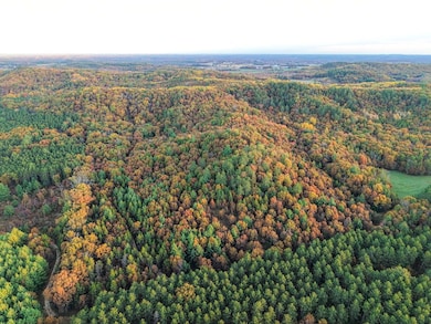 001 Old Highway 10, Fairchild, WI 54741 - photo 2