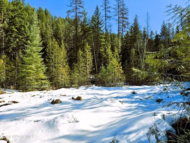 Lower Home Site