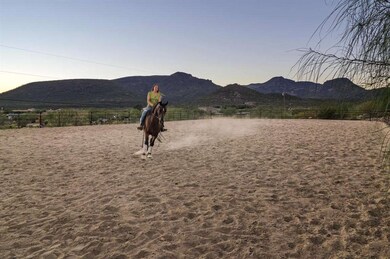 arena twilight ride
