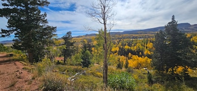 view2
