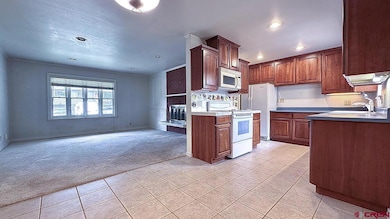 611 Sunnyside Dr, Durango, CO 81301 - photo 4