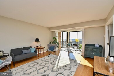 5901 Mount Eagle Dr unit 1509, Alexandria, VA 22303 - photo 2