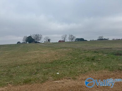 TRACT 8 Alabama 99, Elkmont, AL 35620 - photo 7