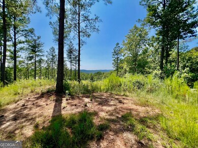 59 Seven Mile Creek Rd, Ellijay, GA 30175 - photo 5