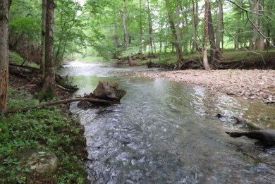 Craig Creek!
