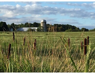 870 S East St, Amherst, MA 01002 - photo 2