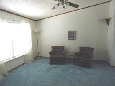 809 Santa Anna Dr unit 182, Alamo, TX 78516 - photo 4