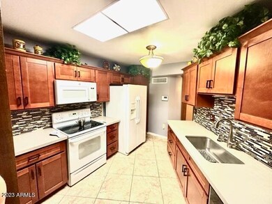 13802 N 110th Ave, Sun City, AZ 85351 - photo 6