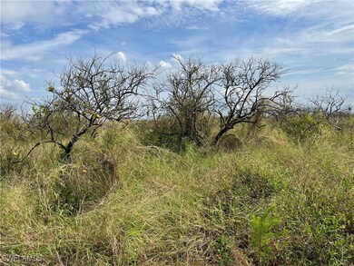 0 7th Ave unit 224087439, Labelle, FL 33935 - photo 2