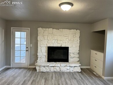 Details with a textured ceiling, a stone fireplace