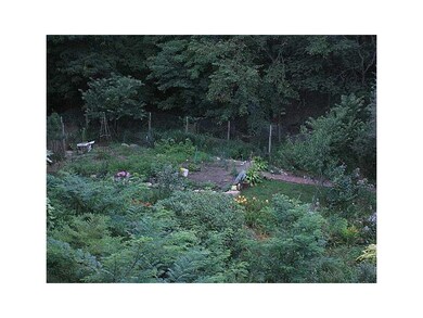 . Another view of garden