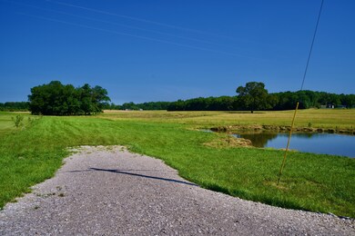 1 Browntown Rd, Sparta, TN 38583 - photo 4