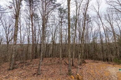D85_0326