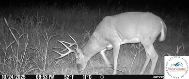 00 Tavern Creek Rd, Iberia, MO 65486 - photo 4