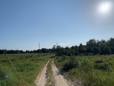 0 S Carpenter Rd, Tifton, GA - photo 2